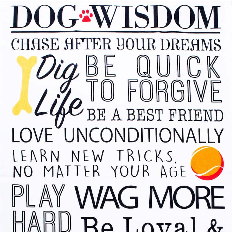 DII Assorted Pets Printed Dishtowel (Set of 3) - 18 x 28"