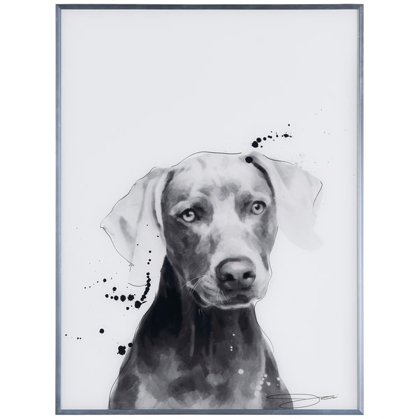 "Weimaraner" Black and White Pet Dog Wall Art Reverse Printed Glass Encased with a Gunmetal Anodized Frame