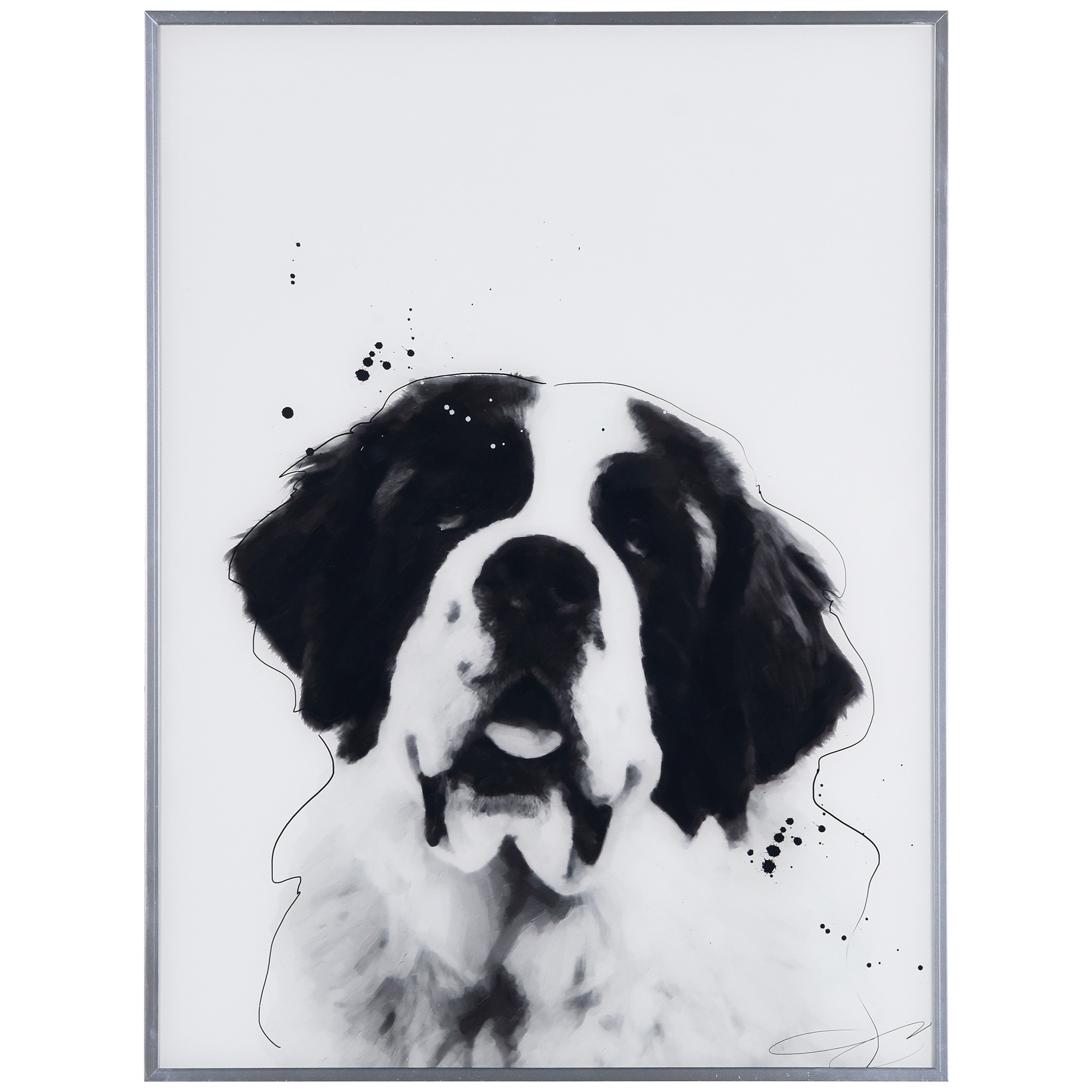 all black saint bernard