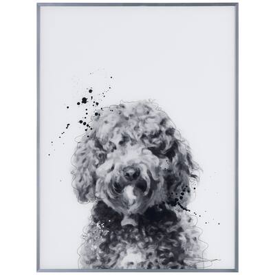 "Labradoodle" Black and White Dog Wall Art Reverse Printed Glass Encased with a Gunmetal Anodized Frame