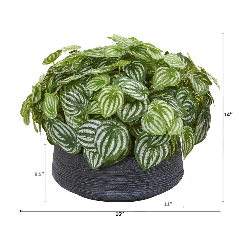 14" Watermelon Peperomia Artificial Plant in Decorative Bowl (Real Touch)