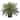 15" Cycas Artificial Plant in Basket