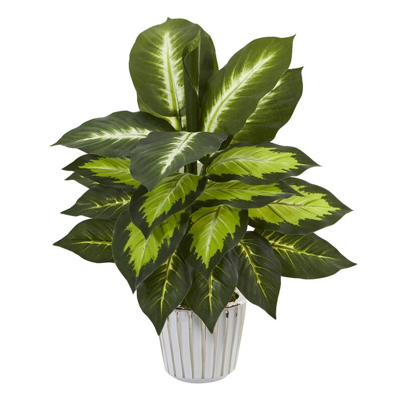 19" Dieffenbachia Artificial Plant in White Vase (Set of 2)
