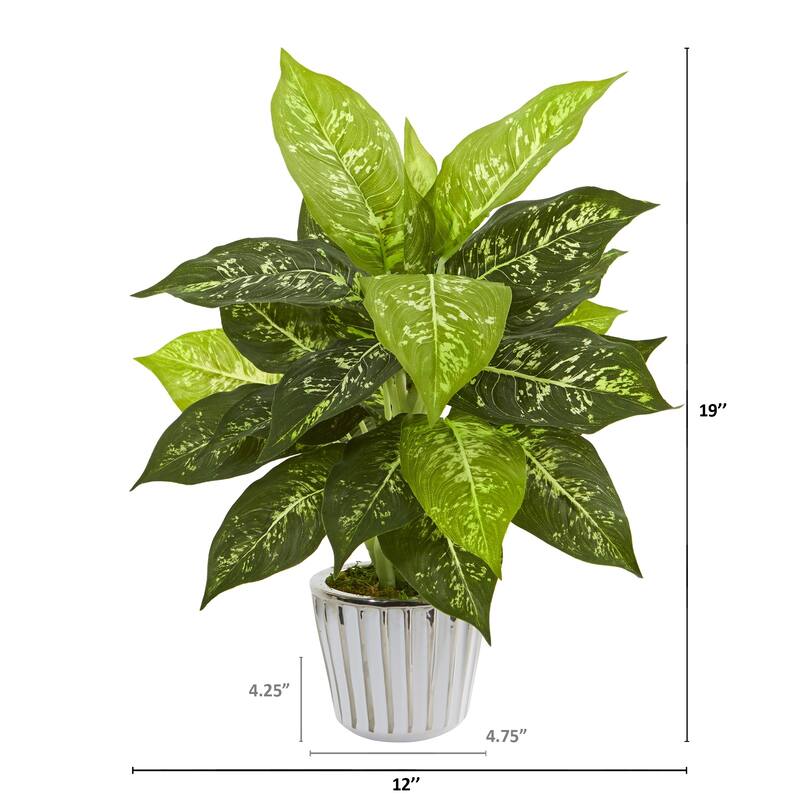 19" Dieffenbachia Artificial Plant in White Vase (Set of 2)