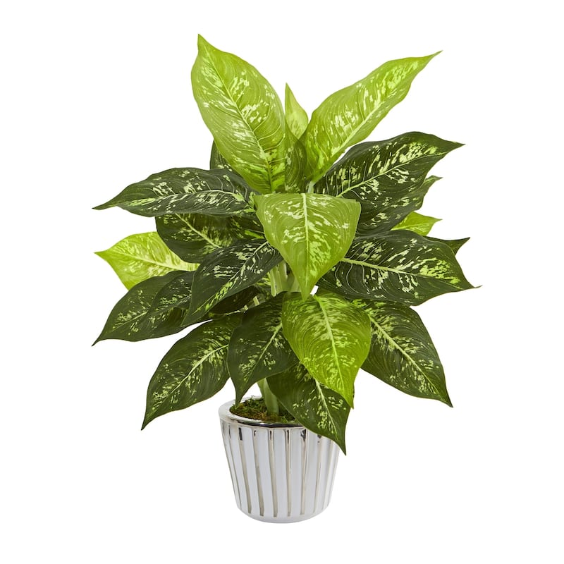 19" Dieffenbachia Artificial Plant in White Vase (Set of 2)