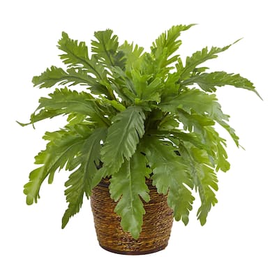 12" Fern Artificial Plant in Basket