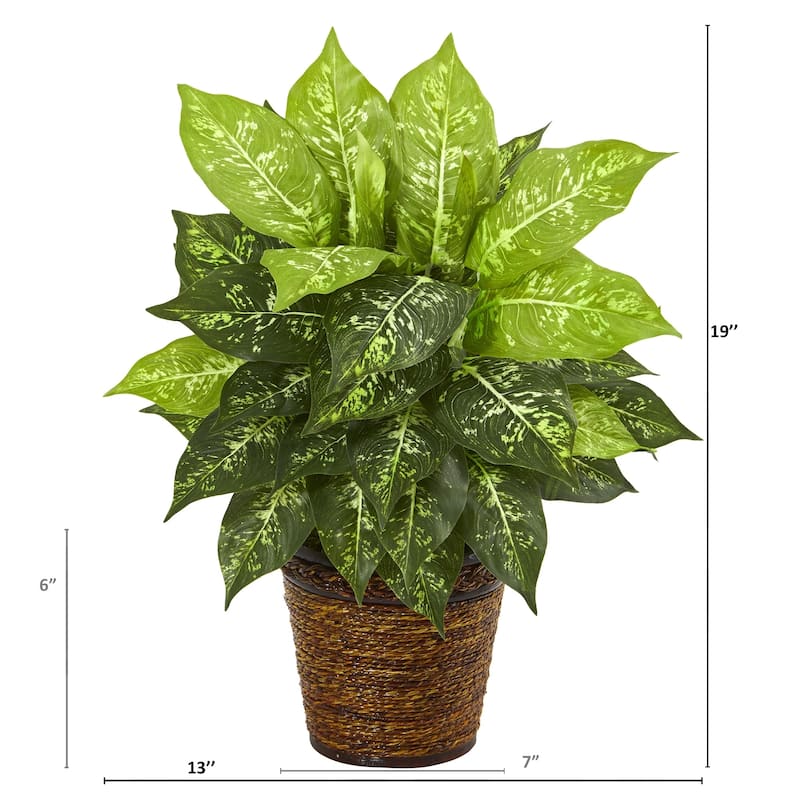 19" Diffenbachia Artificial Plant in Basket