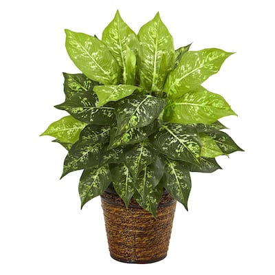 19" Diffenbachia Artificial Plant in Basket