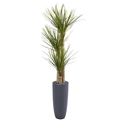 6' Yucca Artificial Tree in Bullet Planter