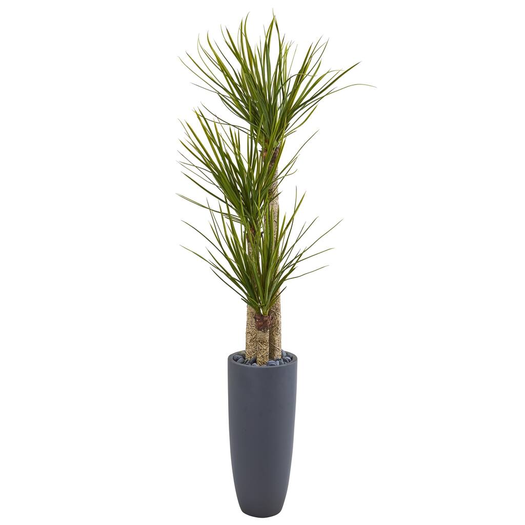6' Yucca Artificial Tree in Bullet Planter