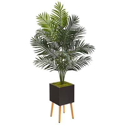 65" Paradise Palm Artificial Tree in Black Planter with Stand