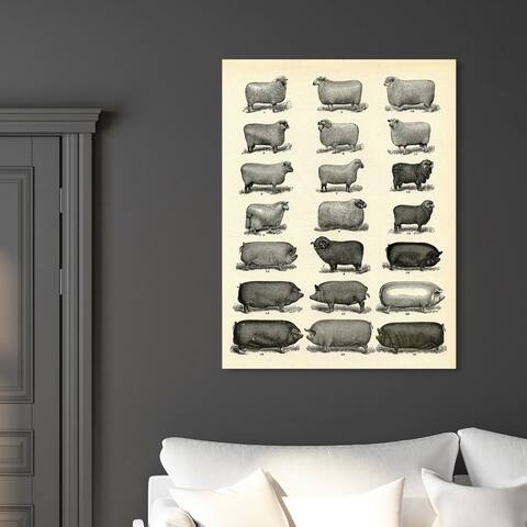 Oliver Gal 'Sheep and Pigs' Animals Wall Art Canvas Print - Black, Brown