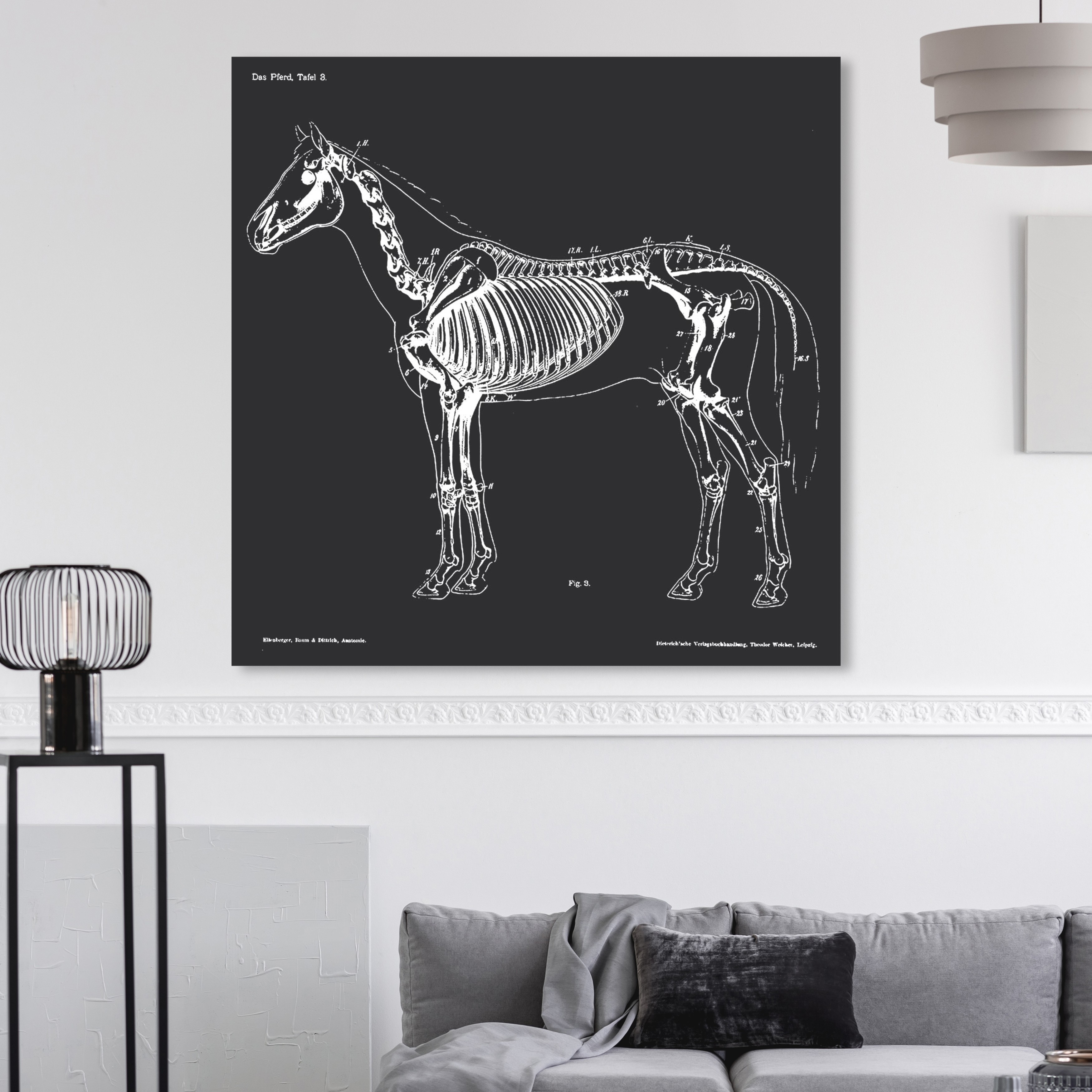 Shop Oliver Gal Squelette Du Cheval Animals Wall Art Canvas