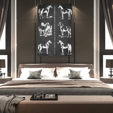 Oliver Gal 'Principal Horse Breeds' Animals Wall Art Canvas Print - Black, White
