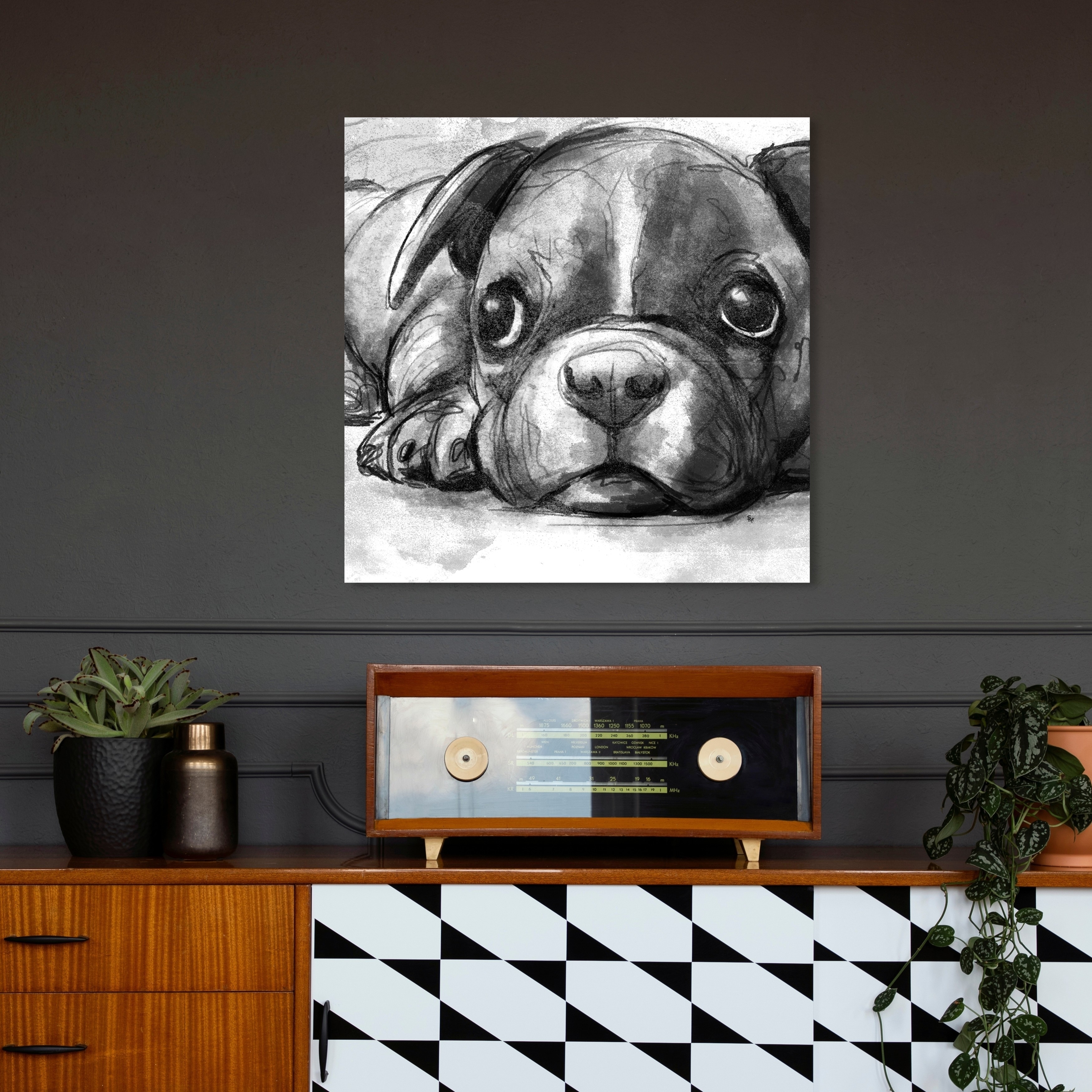 Oliver Gal 'Boston Terrier' Animals Wall Art Canvas Print - Black