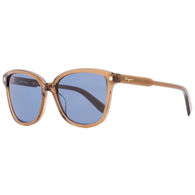 Ferragamo Unisex Fashion 56mm Brown Sunglasses SF815S-210