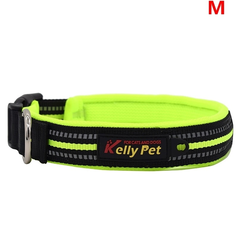great and small dog collar