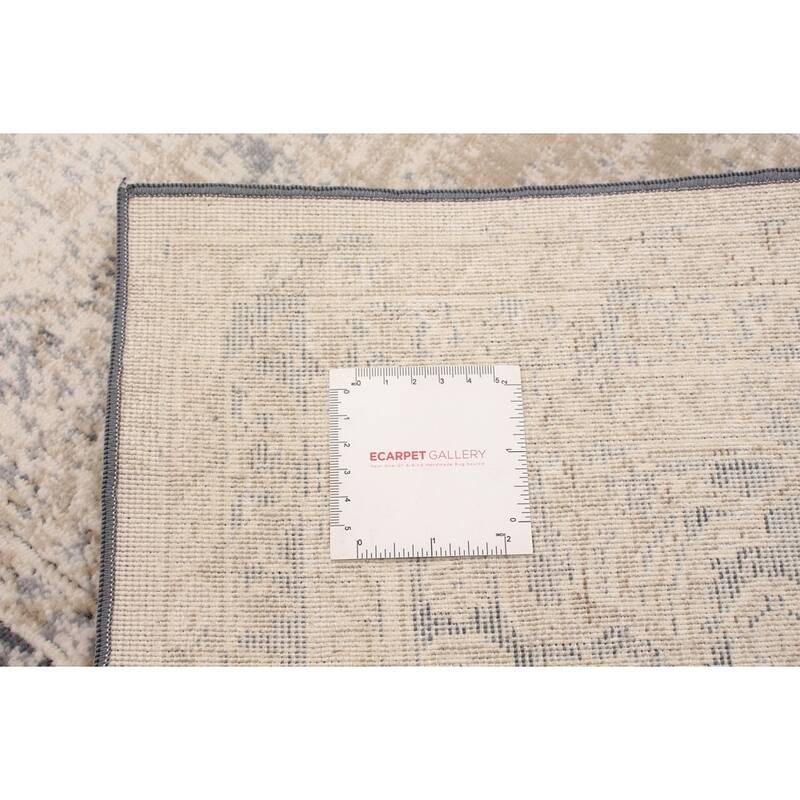 ECARPETGALLERY Bella Transitional Rug