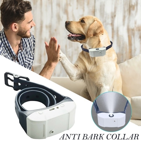 anti bark collar vibration