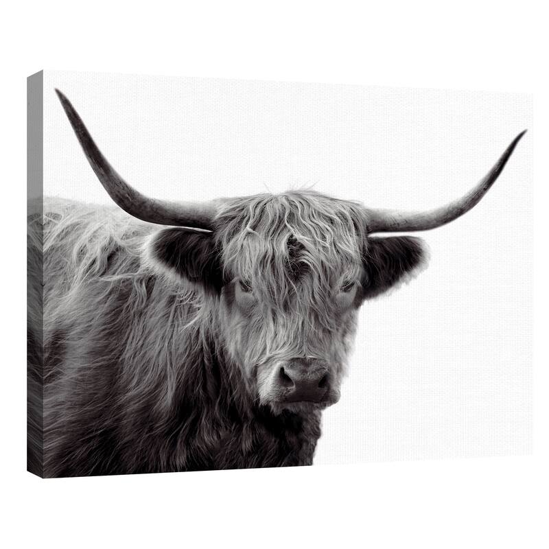 Highland Haze by Bill Philip Canvas Art Print - White