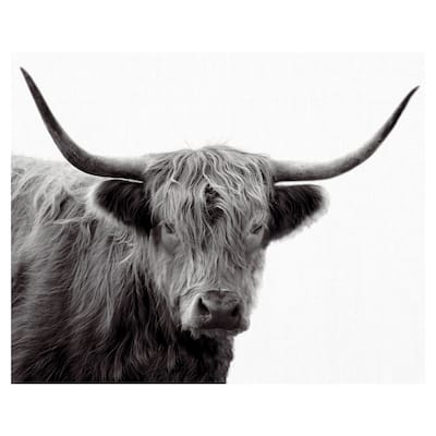Highland Haze by Bill Philip Canvas Art Print - White