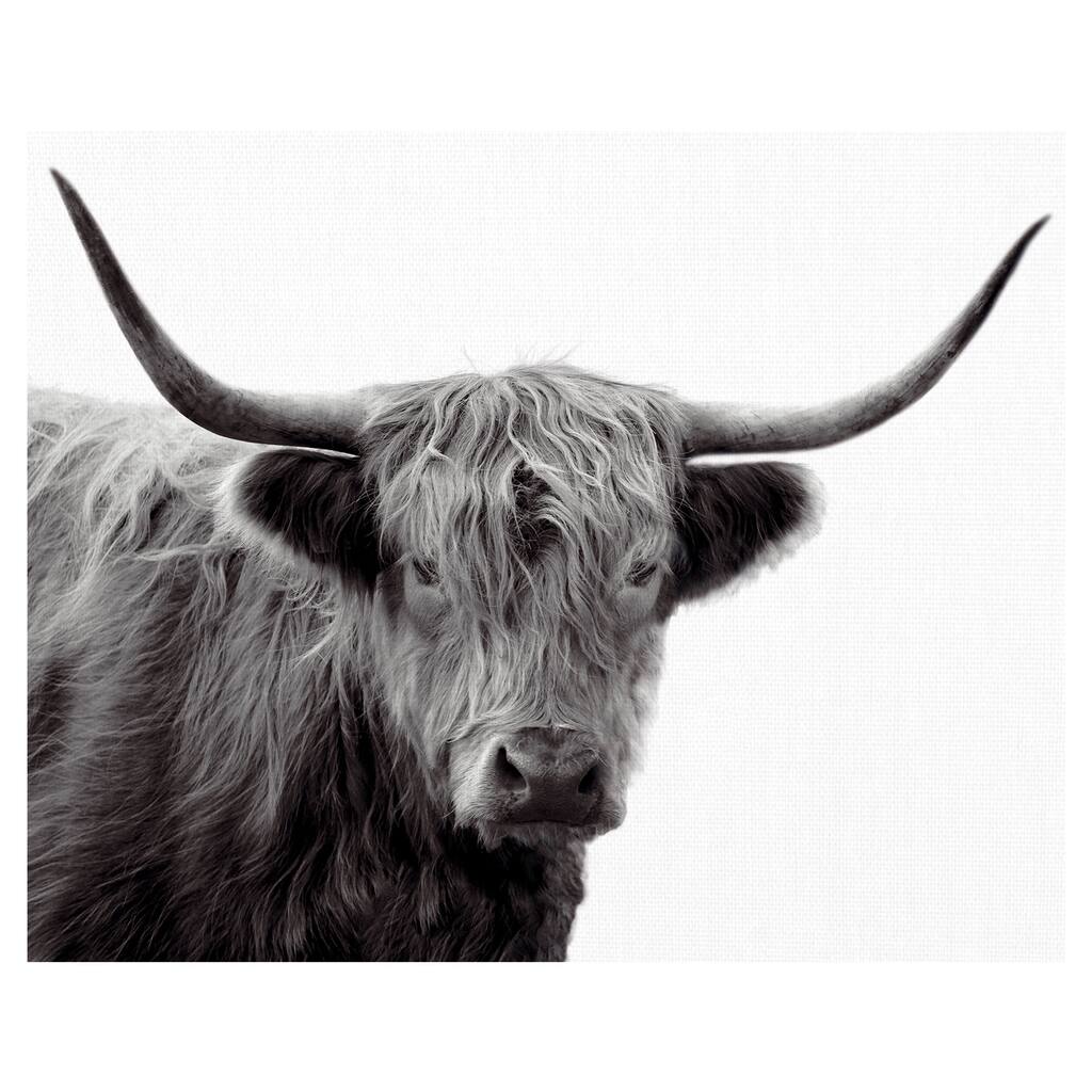 Highland Haze by Bill Philip Canvas Art Print - White