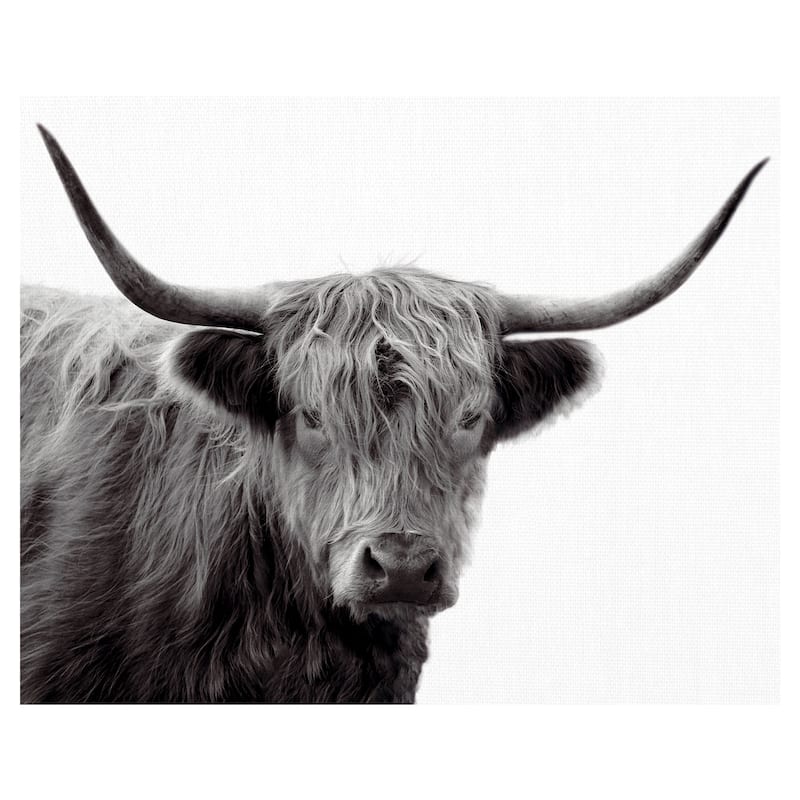 Highland Haze by Bill Philip Canvas Art Print - White