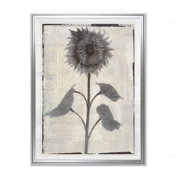 Silk Botanicals V -Framed Giclee Print