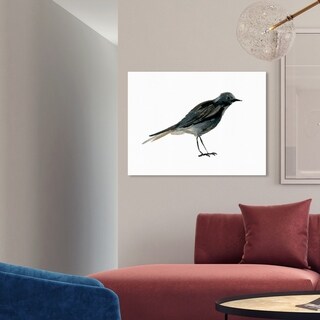 Shop Oliver Gal 'Bird Cages' Animals Wall Art Canvas Print - Black ...