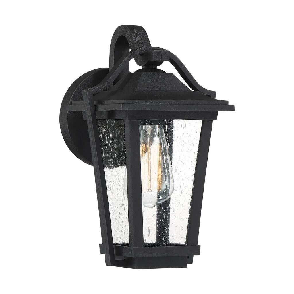 Quoizel Darius Earth Black and Clear 1-light Outdoor Wall Lantern