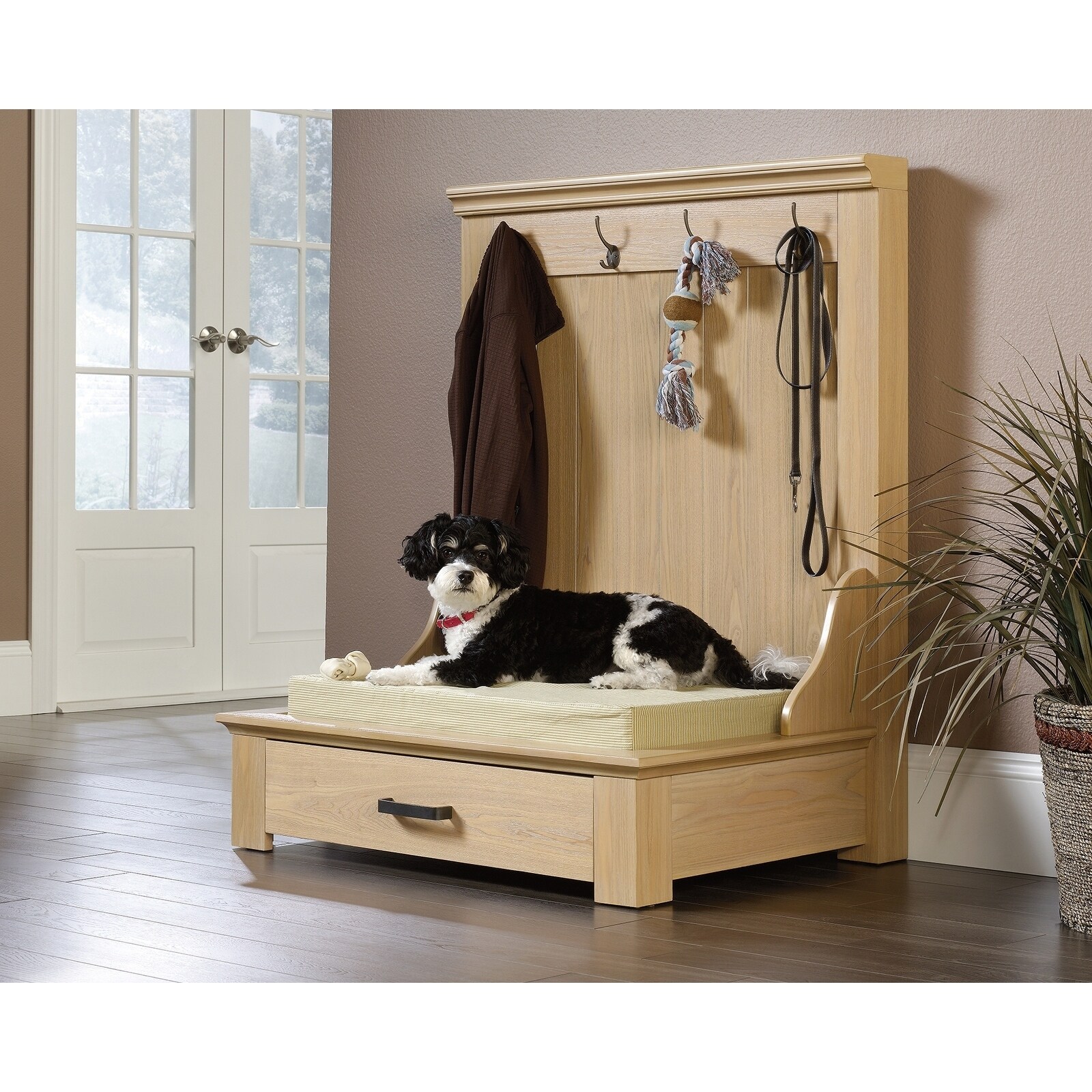 dematting comb for cats petsmart