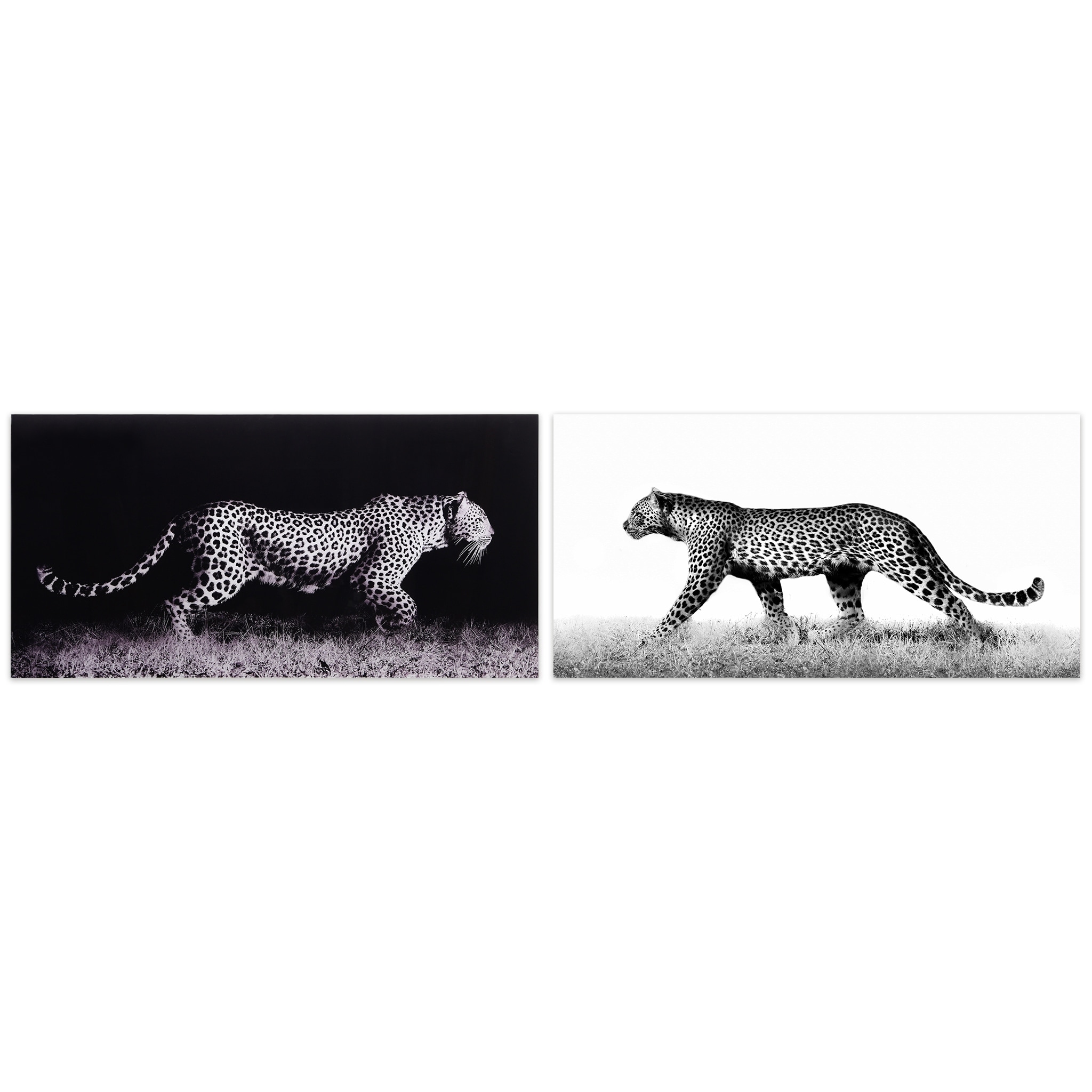 Leopard Glass Wall Art Printed on Frameless Free Floating Tempered Glass Panel - Black/Grey/White