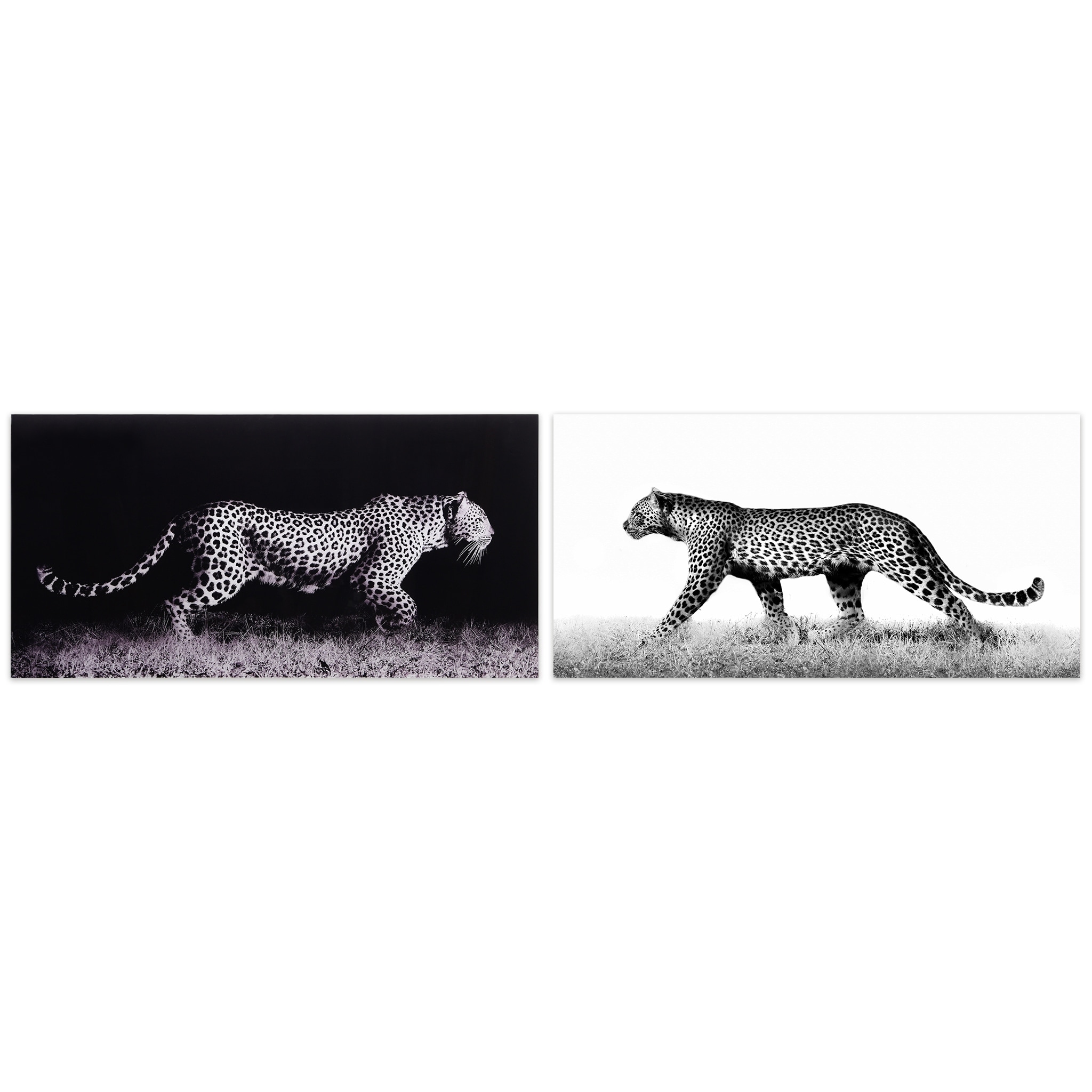 Shop Leopard Glass Wall Art Printed On Frameless Free Floating