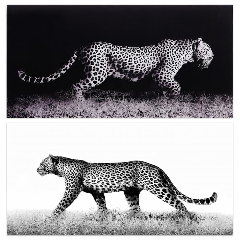 Leopard Glass Wall Art Printed on Frameless Free Floating Tempered Glass Panel - Grey/Black/White