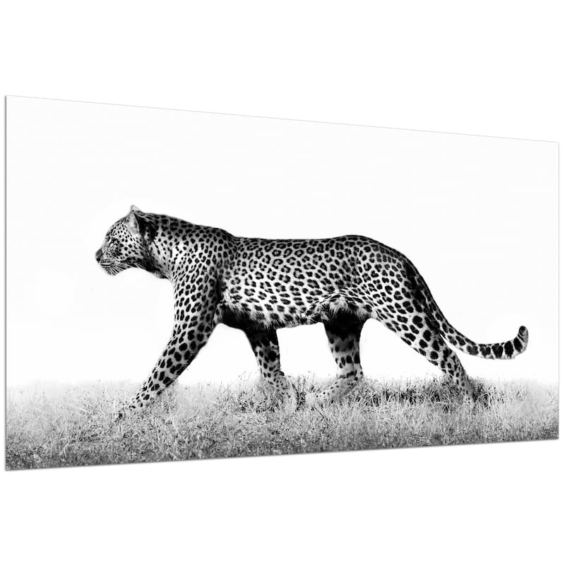 Leopard Glass Wall Art Printed on Frameless Free Floating Tempered Glass Panel - Grey/Black/White