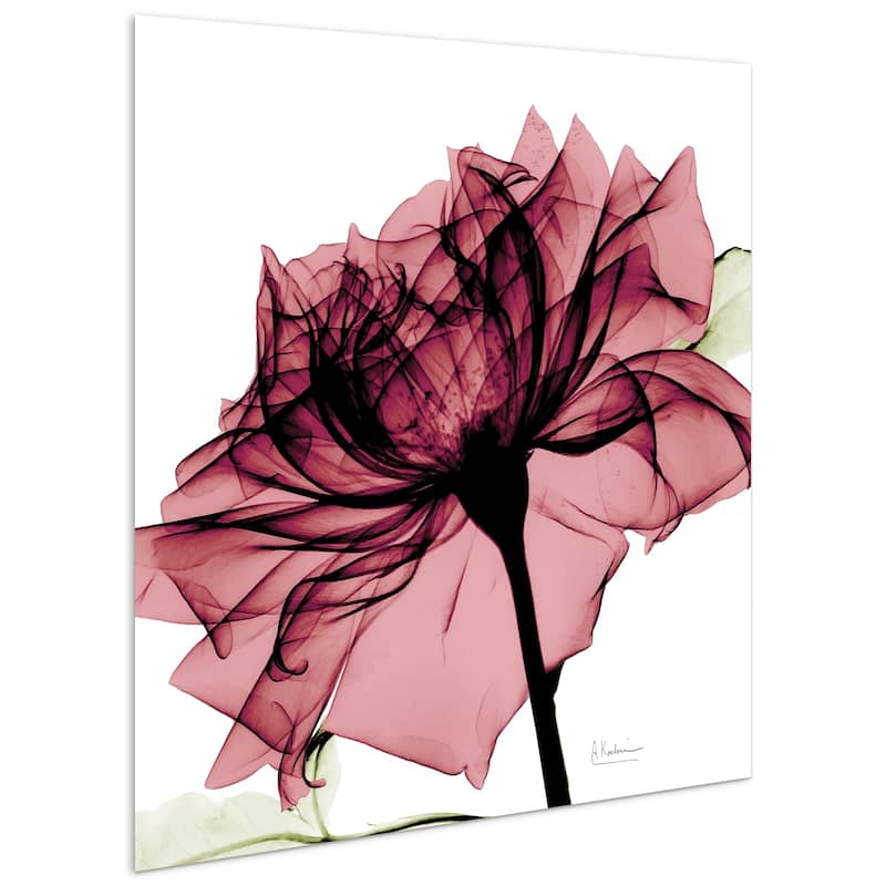 "Chianti Rose I & II" Flower Wall Art Printed on Frameless Free Floating Tempered Glass Panel - Pink/White