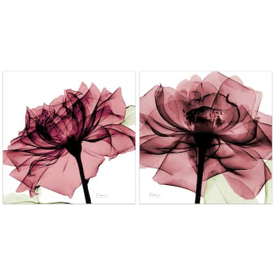 "Chianti Rose I & II" Flower Wall Art Printed on Frameless Free Floating Tempered Glass Panel - Pink/White