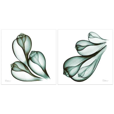 "Coastal Serenity I & II" Flower Glass Wall Art Printed on Frameless Free Floating Tempered Glass Panel - Green/White