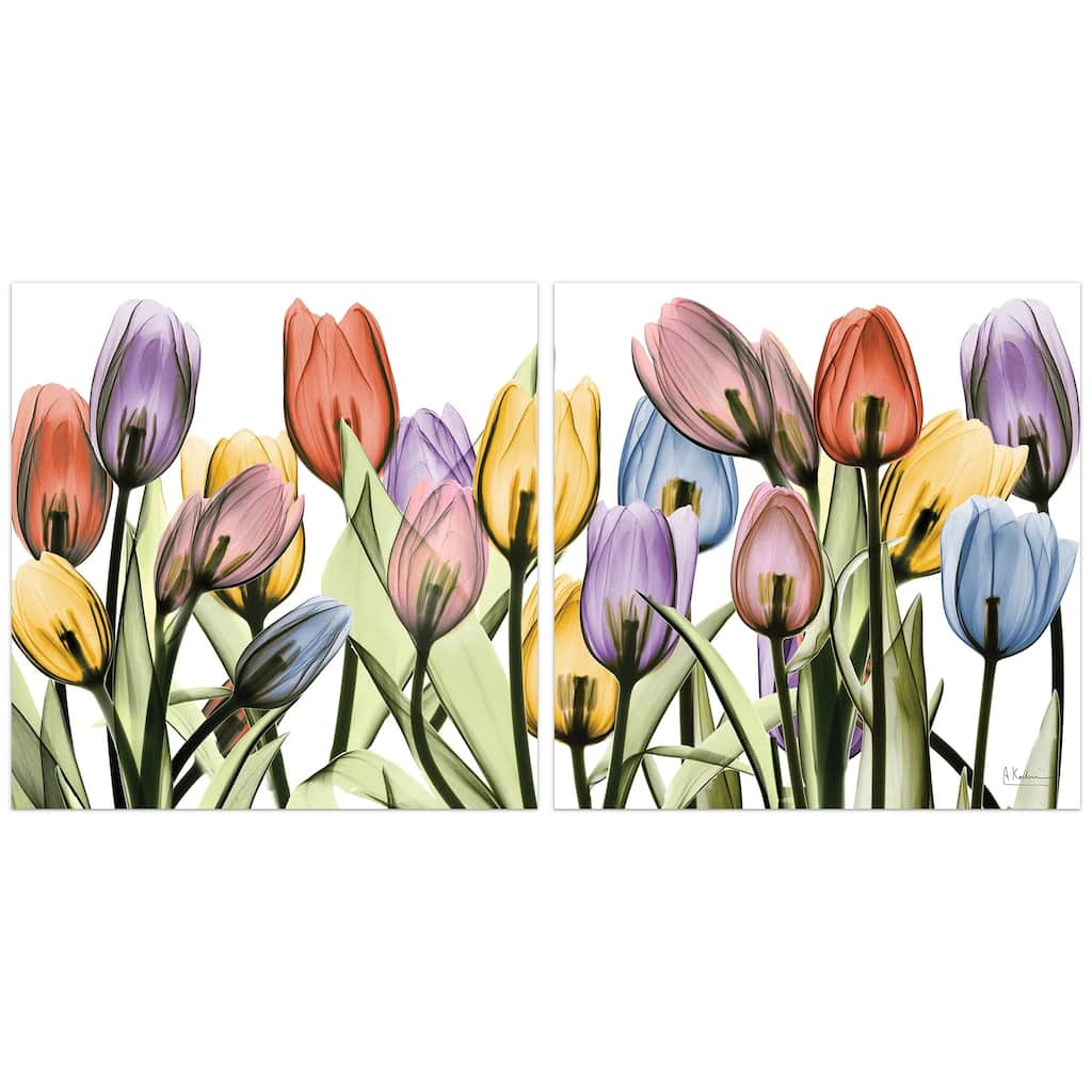 "Tulip Scape x-ray I & II" Flower Wall Art Printed on Frameless Free Floating Tempered Glass Panel