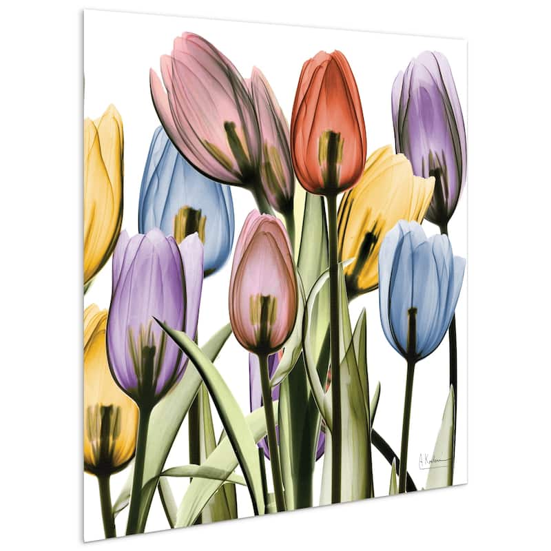 "Tulip Scape x-ray I & II" Flower Wall Art Printed on Frameless Free Floating Tempered Glass Panel