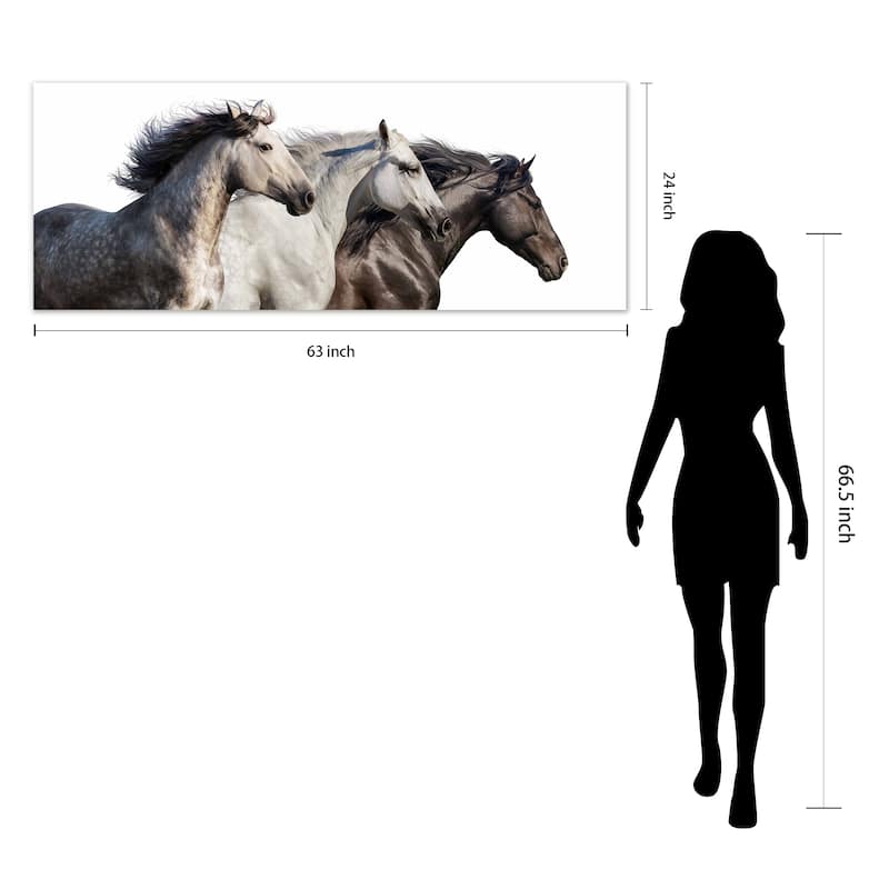 Horse Glass Wall Art Printed on Frameless Free Floating Tempered Glass Panel - Black/Brown/White