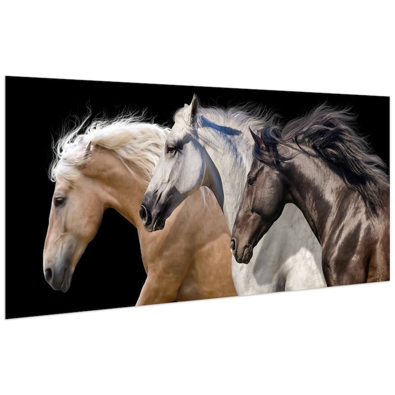 Horse Glass Wall Art Printed on Frameless Free Floating Tempered Glass Panel - Black/Brown/White