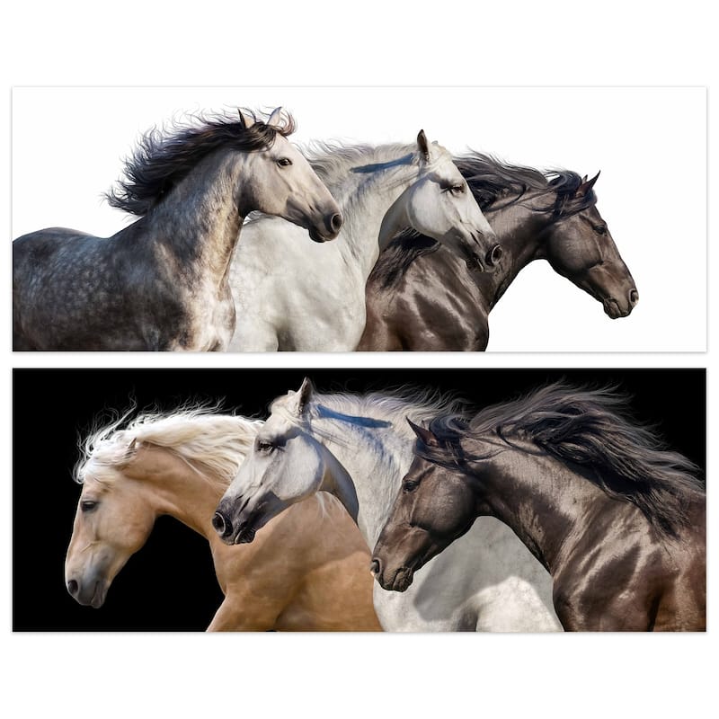 Horse Glass Wall Art Printed on Frameless Free Floating Tempered Glass Panel - Black/Brown/White