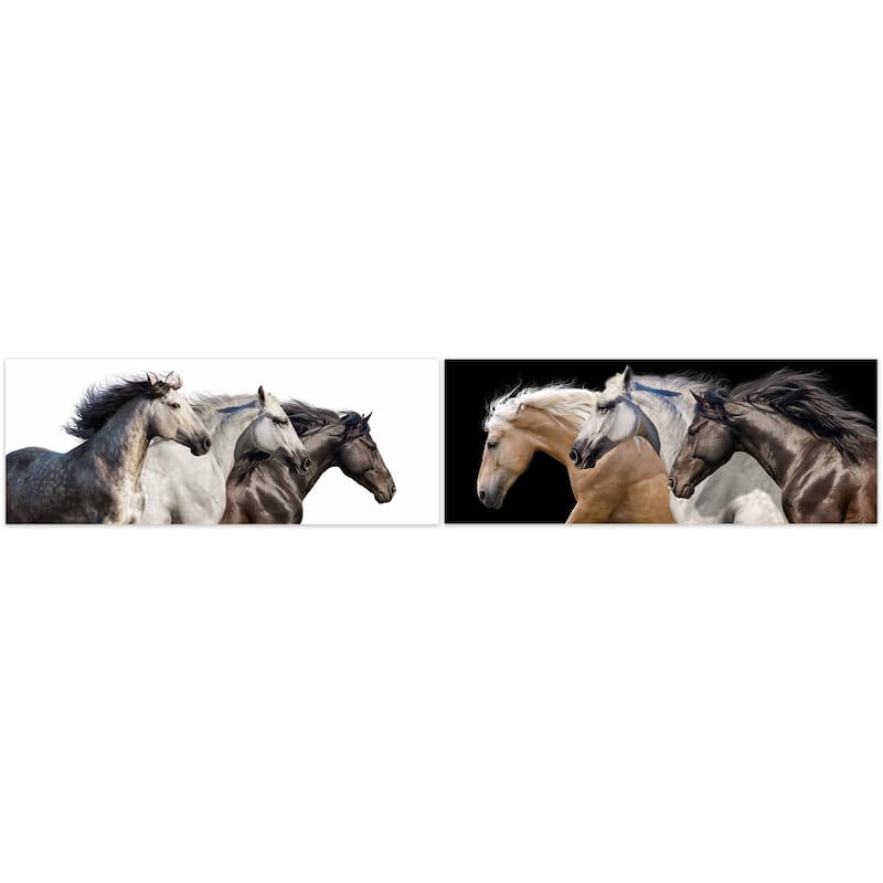 Horse Glass Wall Art Printed on Frameless Free Floating Tempered Glass Panel - Black/Brown/White