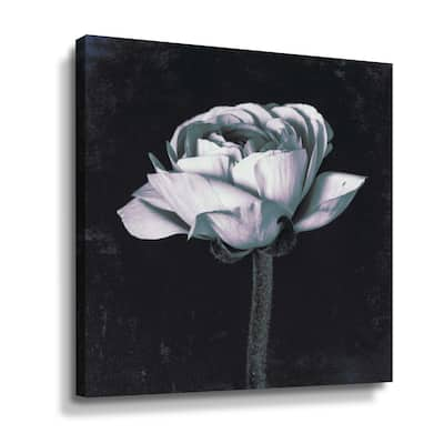 Artwall Aurora I Gallery Wrapped Canvas