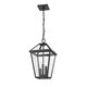 preview thumbnail 3 of 1, Abaura 3-light Outdoor Black Hanging Lantern by Havenside Home