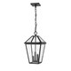 preview thumbnail 1 of 1, Abaura 3-light Outdoor Black Hanging Lantern by Havenside Home