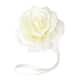 Option White