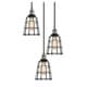 preview thumbnail 2 of 9, Woodbridge Lighting 18324ANSWL-SW106BK Fulton Multi-light Wire Cage Cluster Pendant w/ ST64 Bulb