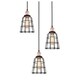 preview thumbnail 12 of 31, Woodbridge Lighting 18324ABZWL-SW106BK Fulton Multi-light Wire Cage Cluster Pendant w/ ST64 Bulb